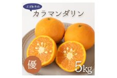 ZT6210n_こだわりの カラマンダリン 優 5kg 藤秀園