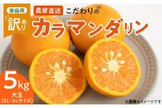ZT6211n_【2026年先行予約】こだわりの カラマンダリン 【訳あり 家庭用】 5kg 藤秀園