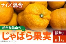 AB7033n_（国産）紀州和歌山の じゃばら 果実（訳あり ジャバラ 家庭用）1kg