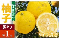 AB7034n_（国産）紀州和歌山の ご家庭用 訳あり 柚子 (ゆず) 約1kg
