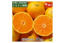 DI6002n_有田みかん 10kg 【訳あり 家庭用】
