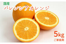 AN6103n_和歌山有田産 バレンシアオレンジ 【訳あり 家庭用】5kg (S～3Lサイズ混合)