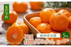 G7344_【2025年 先行予約】紀州 有田産 濃厚甘熟 温州みかん 5kg (小粒サイズ)