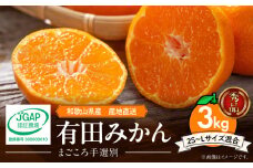 ZE6413n_01_【2025年先行予約】【2026年1月発送】和歌山県産 有田みかん 3kg (2S～Lサイズ混合)【まごころ手選別】