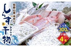 DL6001n_しらす ・ 干物 おまかせ詰め合わせ セット A【しらす干し ちりめんじゃこ シラス 魚 干物セット 詰め合わせ】
