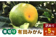 AB7021n_【旬の果実】有田育ちの濃厚 青切り有田みかん【訳あり 家庭用】 5kg (サイズ混合)