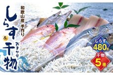 DL6002n_しらす ・ 干物 おまかせ詰め合わせ セット B【しらす干し ちりめんじゃこ シラス 魚 干物セット 詰め合わせ】