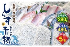 DL6003_しらす ・ 干物 おまかせ詰め合わせ セット C【しらす干し ちりめんじゃこ シラス 魚 干物セット 詰め合わせ】
