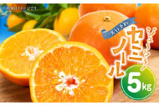 ZP6011n_とってもジューシー！ セミノール 5kg【ミカン 蜜柑 春みかん 柑橘 オレンジ】