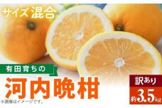 AB7041n_有田育ちの 河内晩柑 【訳あり 家庭用】3.5kg (サイズ混合)【ミカン 蜜柑 灘オレンジ サウスオレンジ 柑橘 フルーツ 和歌山 有田】