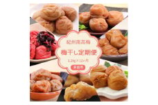 BL6151_定期便 紀州南高梅 7種の風味 1.2kg × 12ヶ月 ご家庭用 梅 桃風味 桃果汁 しそ風味 こんぶ風味 まろやか 優梅 低塩 白干梅干 うす味 はちみつ入り フルーティー 紀州伝統 ご飯のお供 お弁当 おかず 料理 和歌山県 湯浅町 お取り寄せ 送料無料