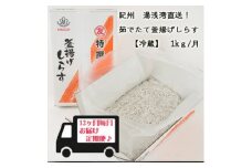 C6019n_紀州湯浅湾直送！茹でたて釜揚げしらす (冷蔵) 箱入【定期便】1kg×12回