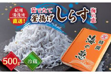 C6039n_【冷蔵】 茹でたて 釜揚げしらす 海の恵み 500g 紀州湯浅湾直送！【しらす干し ちりめんじゃこ シラス】