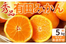 ZP6111_有田みかん 秀 5kg【ミカン 蜜柑 柑橘 温州みかん 和歌山 有田】