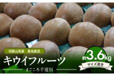 ZE6187n_【2026年先行予約】和歌山県産 キウイフルーツ 3.6kg (サイズ混合) 【まごころ手選別】 【キウイ グリーンキウイ フルーツ 国産】