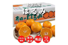 ZE6206n_和歌山県産 有田の はるみ 8～11玉【まごころ手選別】【ハルミ 春見 ミカン 蜜柑 柑橘 和歌山 有田】