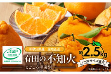 ZE6209n_【2026年先行予約】有田の不知火(しらぬひ) 2.5kg　8～11玉　（M～2Lサイズ）まごころ手選別
