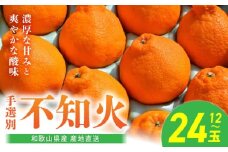 BL6016n_【産地直送】【2026年先行予約】和歌山県産 不知火 12玉～24玉【でこぽん デコポン しらぬい 不知火 柑橘】