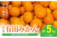 BL6173_【2025年先行予約】【産地直送】和歌山県産 有田みかん 小玉 5kg