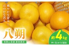 BL6113n_【2026年先行予約】【産地直送】和歌山県産 八朔 4kg (M～3Lサイズ)【はっさく ハッサク 八朔 和歌山産 柑橘 和歌山 有田】