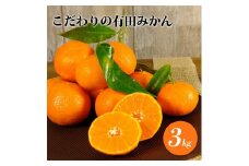 ZT6218n_こだわりの 有田みかん 3kg 藤秀園