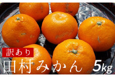 ZY6119n_【訳あり・ご家庭用】 田村みかん 5kg【みかん ミカン 蜜柑 柑橘 温州みかん 和歌山 有田みかん】