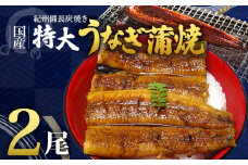 R6102_紀州備長炭焼き 特大 うなぎ 蒲焼き(国産)【鰻 ウナギ 丑の日 土用 蒲焼き 関西風 冷凍】