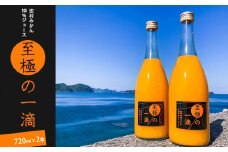 DE6106n_田村みかんジュース 至極の一滴 720ml×2本【和歌山 ミカンジュース ストレート 果汁100% 有田みかん 田村みかん 無添加】