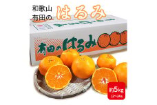 ZE6381n_和歌山県産 有田の はるみ 5kg 12玉～24玉 【まごころ手選別】 【ハルミ 春見 ミカン 蜜柑 柑橘 和歌山 有田】