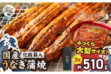 G7311_大型サイズ ふっくら柔らか 国産うなぎ 蒲焼き 3尾 (約6人前) 化粧箱入