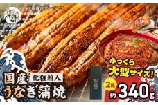 G7005_大型サイズ ふっくら柔らか 国産うなぎ 蒲焼き 2尾 (約4人前) 化粧箱入
