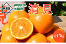 BL6157n_【先行予約】【産地直送】和歌山県産 清見 10kg (S～3Lサイズ混合)【清見 みかん オレンジ タンゴール きよみ 柑橘 和歌山 有田】