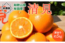 BL6158n_【先行予約】【2026年先行予約】 家庭用 清見 約 5kg S～3L サイズ混合 訳あり ほどよい 酸味 甘味 マッチ 食べやすい 産地直送 国産 みかん 柑橘 果物 フルーツ 果実 食品 食べ物 おやつ デザート お取り寄せ お取り寄せフルーツ 有田地方 和歌山県 湯浅町 送料無料