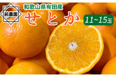 BL6160n_【産地直送】 和歌山県産 せとか 11玉～15玉【ミカン 蜜柑 春みかん 柑橘】