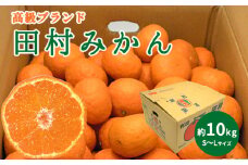 DN6015_【2025年 先行予約】 高級ブランド 田村みかん 秀品 10kg (S～Lサイズおまかせ） 【ミカン 蜜柑 柑橘 温州みかん 有田みかん】