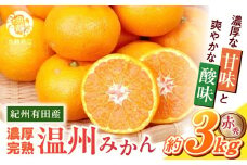 G7042_【2025年 先行予約】 紀州 有田産 濃厚甘熟 温州みかん 3kg 赤秀品【ミカン 蜜柑 柑橘 温州みかん 有田みかん 和歌山】