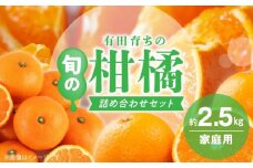AB7057n_先行予約 旬の美味 みかん名産地 和歌山 有田 有田育ちの ご家庭用 旬の柑橘 詰め合わせ セット 2.5kg 訳あり