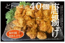 DO6004n_紀の国みかんどり 特選 唐揚げ【からあげ 鶏から 冷蔵 チルド 惣菜 弁当 おかず】