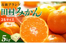 DN6014_【2025年 先行予約】  田村みかん 秀品 約 5kg 2Sサイズ 高級ブランド 田村みかん 小玉 みかん 温州みかん フルーツ 果物 柑橘 果汁 ジューシー 赤秀品 青秀品 国産 食品 食べ物 期間限定 お取り寄せ 和歌山県 湯浅町 送料無料