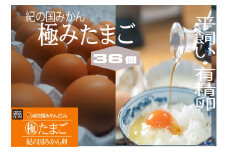DO6008n_紀の国みかん 極みたまご 36個【玉子 卵 鶏卵】