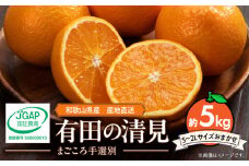 ZE6114n_【2026年先行予約】和歌山県産 有田の 清見 5kg (S～2Lサイズ)（サイズおまかせ）（まごころ手選別）