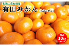 U6305_有田みかん（AQみかん）約10kg Mサイズ 和歌山県有田産【ミカン 蜜柑 柑橘 温州みかん 和歌山産 有田みかん】