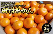 U6238n_「高級 田村みかん」青秀 約3kg Sサイズ 和歌山県有田産 有田みかん【ミカン 蜜柑 柑橘 温州みかん 和歌山産 有田みかん】