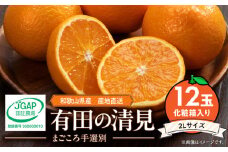 ZE6117n_【2026年先行予約】和歌山県産 有田の 清見 化粧箱入り 2Lサイズ 12個入り（まごころ手選別）