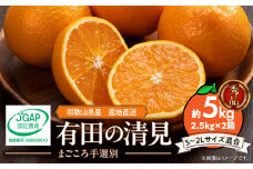 ZE6120n_【2026年先行予約】和歌山県産 有田の 清見 5kg (2.5kg×2箱) (S～2Lサイズ混合)（まごころ手選別）