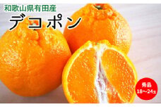 U6300_デコポン 秀品 18玉～24玉 和歌山県有田産