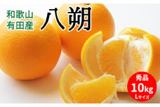 U6301_八朔 秀品 約10kg Lサイズ 和歌山県有田産