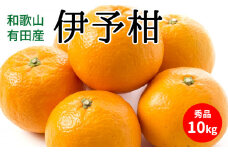 U6307_伊予柑 秀品 約10kg 和歌山県有田産
