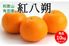 U6226n_紅八朔 秀品 約10kg Lサイズ 和歌山県有田産