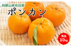 U6227n_【ふるさと納税】【2026年先行予約】ポンカン 秀品 約10kg 和歌山県有田産【ぽんかん ミカン 蜜柑 柑橘 和歌山 有田】